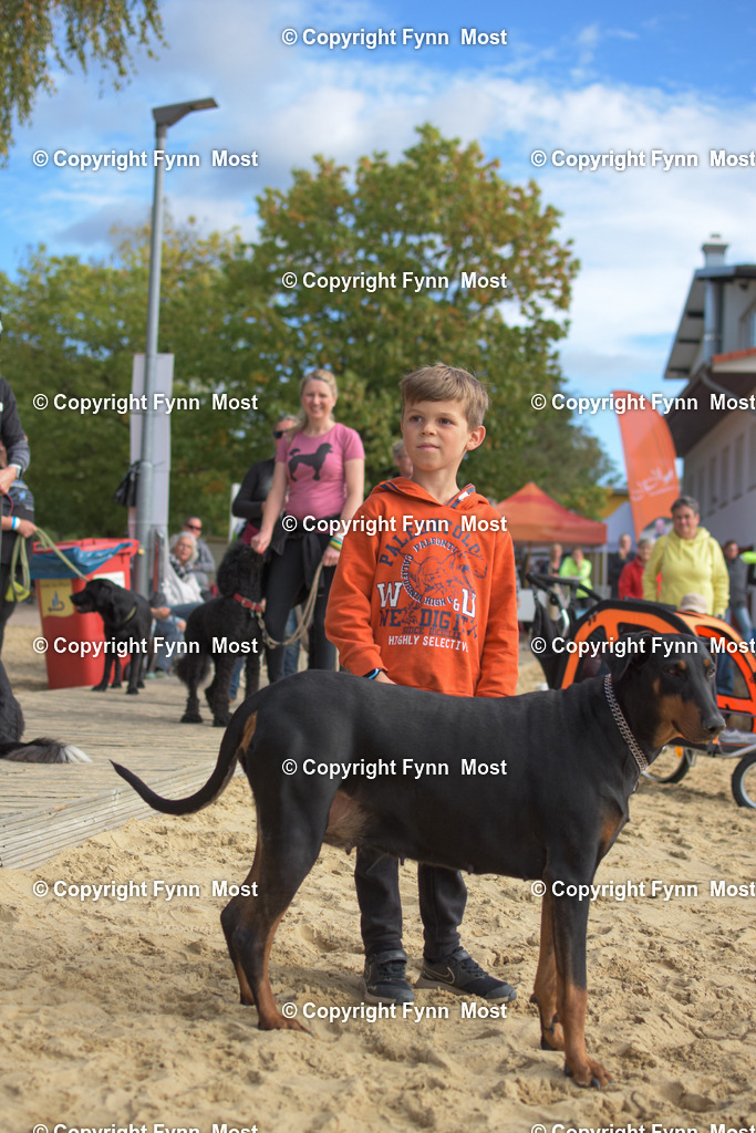 DSC_0506 | Hallo und herzlich Willkommen auf meiner Shop-Seite Fynn Most.

Ich wünsche Dir viel Spaß beim stöbern durch die Bilder, wenn Du Fragen hast oder Bilder vermisst, kannst du mir gerne eine Nachricht schreiben. - Realisiert mit Pictrs.com