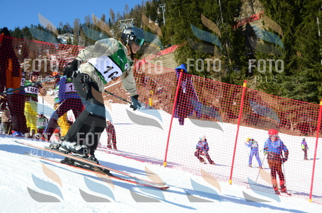 C6234 | holidayphoto