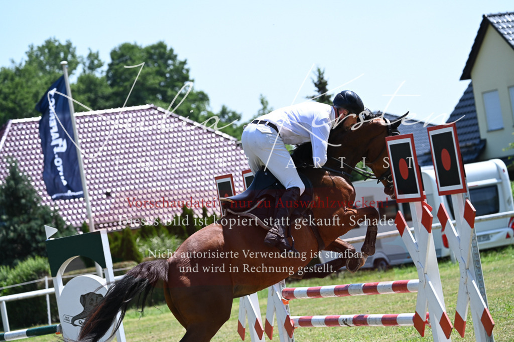 DSC_0593 | Pferde- und Turnierfotografie in Westsachsen. Pferdeportraits, Auftragszeichnungen und intuitive Kunst.