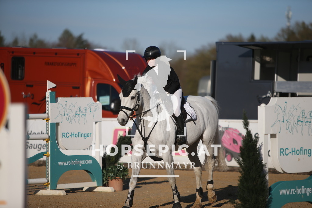 PP016016 | Willkommen bei Brunnmayr - Design & Fotografie – Ihrem Spezialisten für Reitturniere und Pferdeveranstaltungen in Oberösterreich, Salzburg und Bayern! Seit über 17 Jahren sind wir leidenschaftlich dabei.