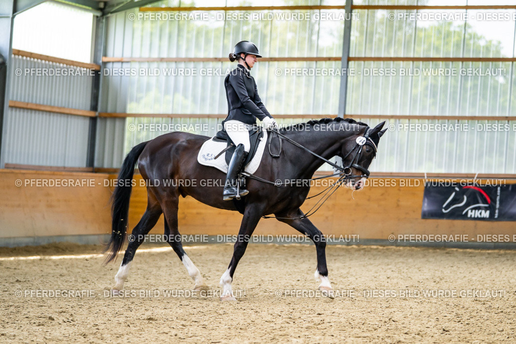 DSC04136 | Pferdegrafie