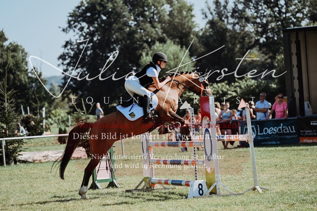 DSC_6155 | Pferde- und Turnierfotografie in Westsachsen. Pferdeportraits, Auftragszeichnungen und intuitive Kunst.