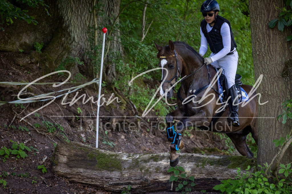 20260523-_3LI6012 | Tierfotografie Pferde, Hunde, Katzen, Haustiere.
Turnierfotografie Reitturniere, Reiten, Springreiten, Dressur in Hanau, dem Main-Kinzig-Kreis und dem Rhein-Main- Gebiet um Frankfurt