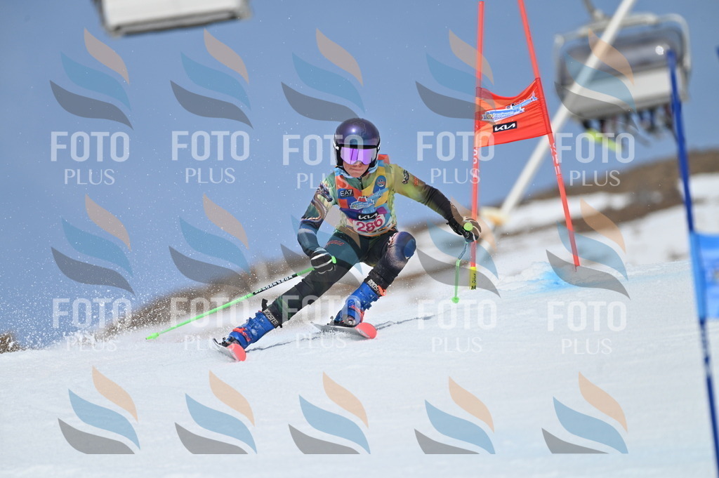 BGV_2524 | holidayphoto