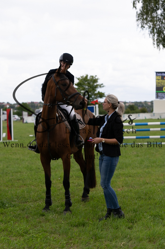 A7V04044 | Pferdefotograf