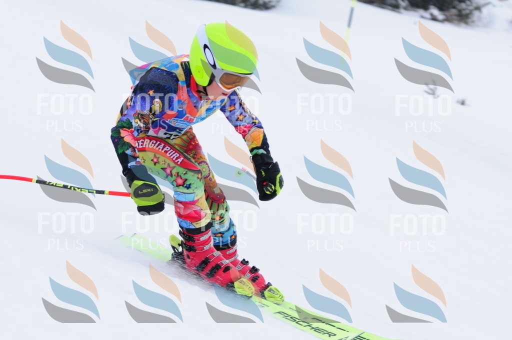 C3417 | holidayphoto