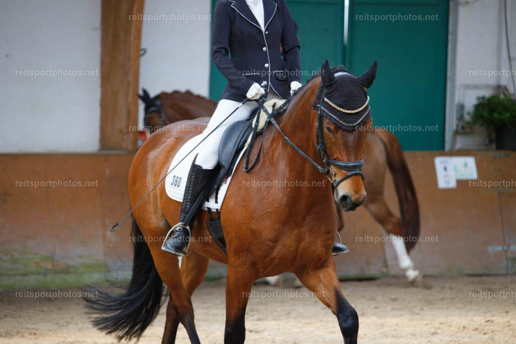 JHE_7997 | JoYa Fotografie - Realisiert mit Pictrs.com