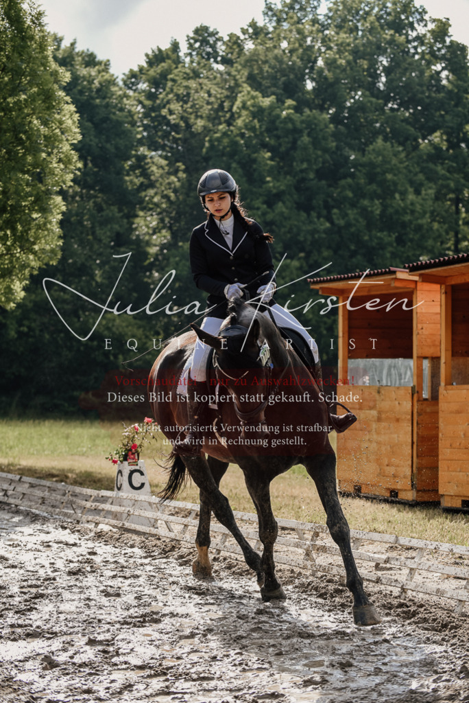 DSC_8606 | Pferde- und Turnierfotografie in Westsachsen. Pferdeportraits, Auftragszeichnungen und intuitive Kunst.