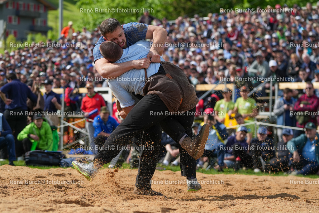 RB-09131 | René Burch leidenschaftlicher Fotograf aus Kerns in Obwalden.  Hier finden sie Sport, Landschaft und Natur Fotografie.
 - Realisiert mit Pictrs.com