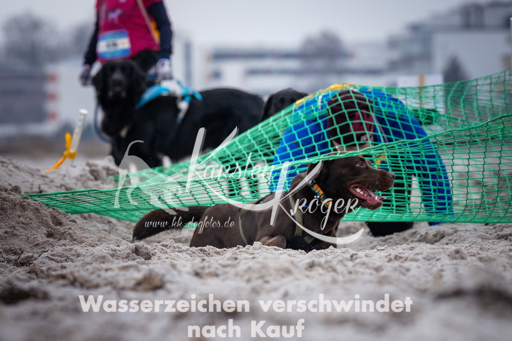1216_ZZ93081 | kk-dogfotos