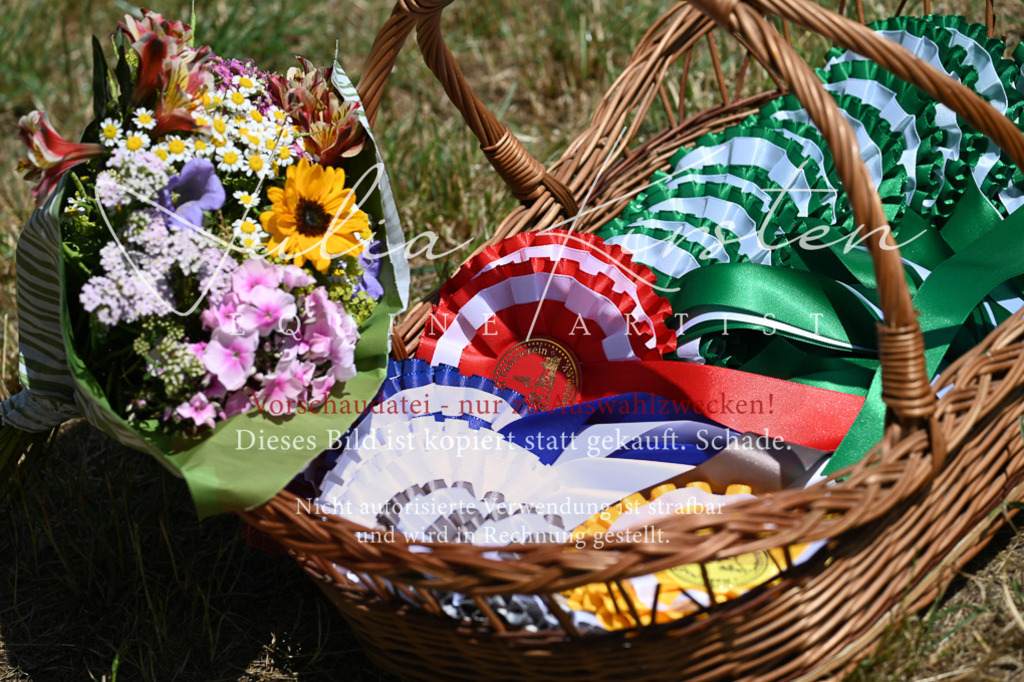 DSC_9911 | Pferde- und Turnierfotografie in Westsachsen. Pferdeportraits, Auftragszeichnungen und intuitive Kunst.