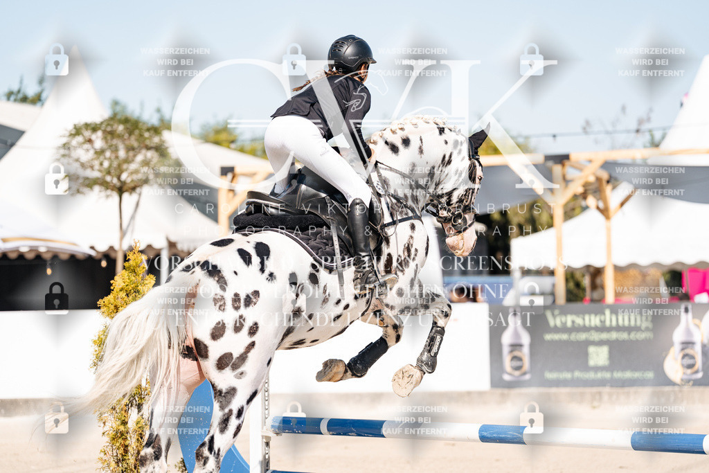 CK905008 | Turnierfotografie Pferdefotografie Trier Rheinland-Pfalz Pferdesport Reitsport Tierfotografie Sportfotografie Pferdevideo Pferdevideografie Equestrianvideography equestrianphotography  - Realisiert mit Pictrs.com