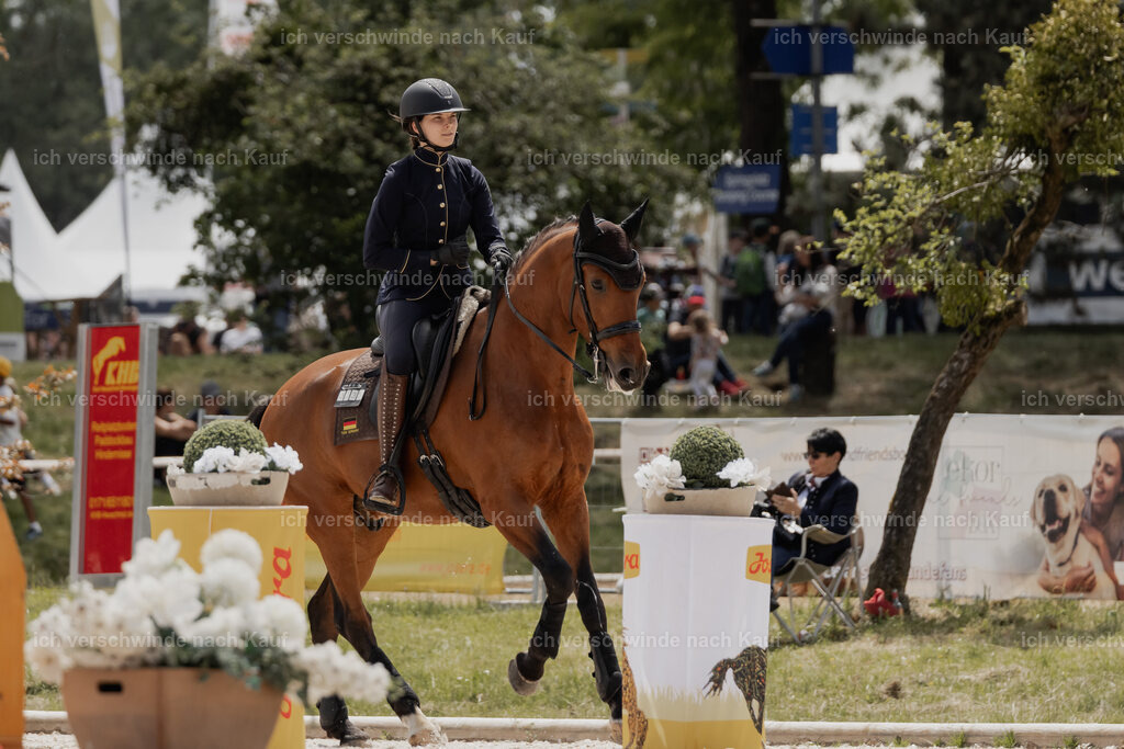 WE_ST_Stoib_335_PI2025_1009 | Pferd International München 2025