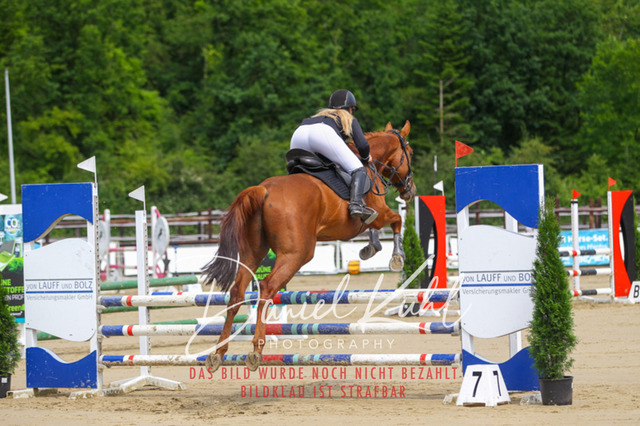 DKP41541 | Turniersportfotografie; Pferdefotografie; Dressurfotografie