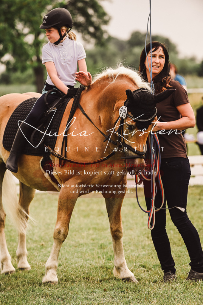 DSC_5203 | Pferde- und Turnierfotografie in Westsachsen. Pferdeportraits, Auftragszeichnungen und intuitive Kunst.