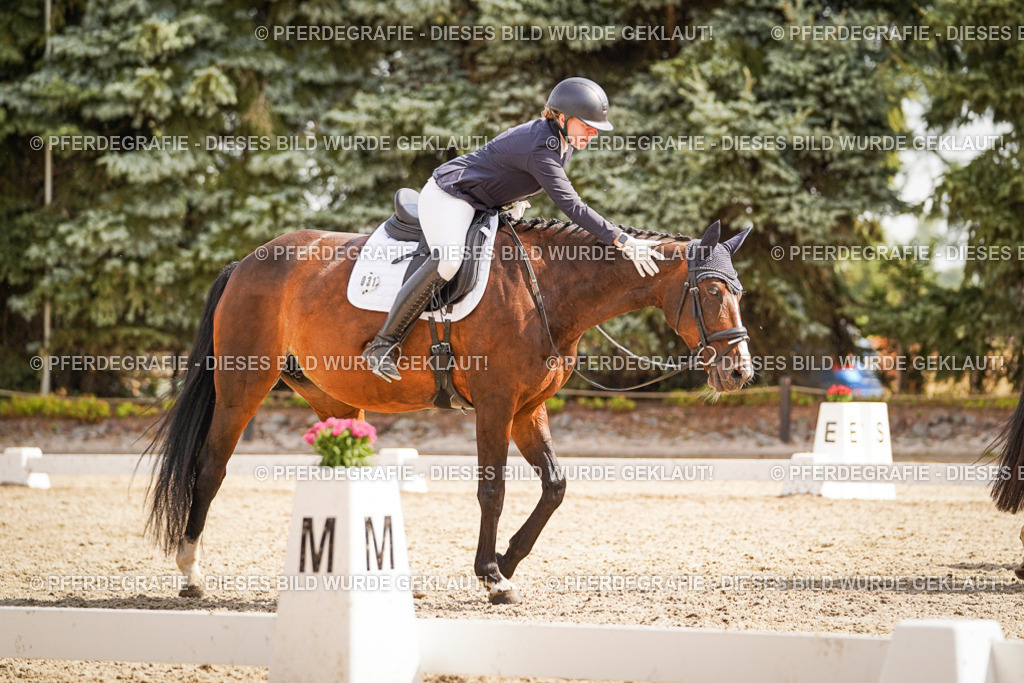 DSC01220 | Pferdegrafie