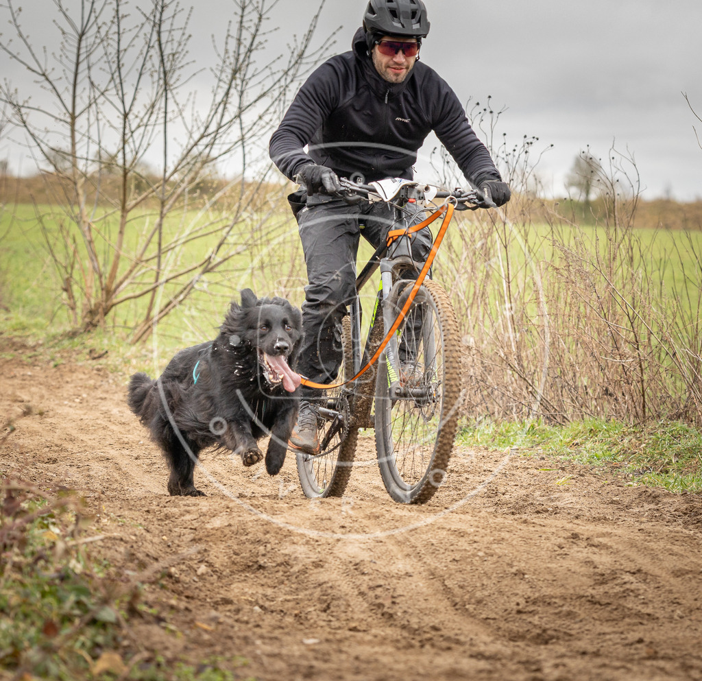 DV3A0964 | Hundefotografie, Tierfotograf, Pfotenfotografie, Fotoshooting Hund, Hunde Portrait, Hundesport, Hundeportraits, Heideshooting, Hunde, Sportfotograf, Hundefotograf, Turnierhundsport, THS,  - Realisiert mit Pictrs.com