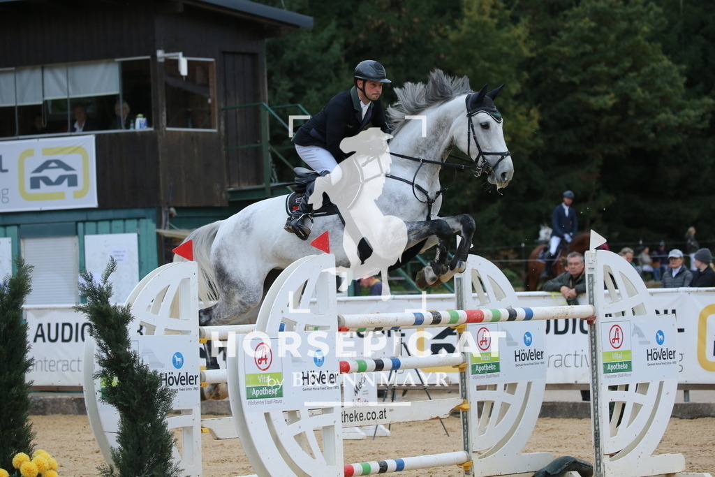 DL2Q6213 | Willkommen bei Brunnmayr - Design & Fotografie – Ihrem Spezialisten für Reitturniere und Pferdeveranstaltungen in Oberösterreich, Salzburg und Bayern! Seit über 17 Jahren sind wir leidenschaftlich dabei.