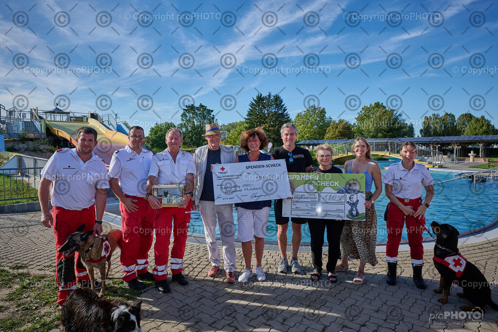 250_202509_4Hundebadetag_NZ9_3020 | proPHOTO - Realisiert mit Pictrs.com