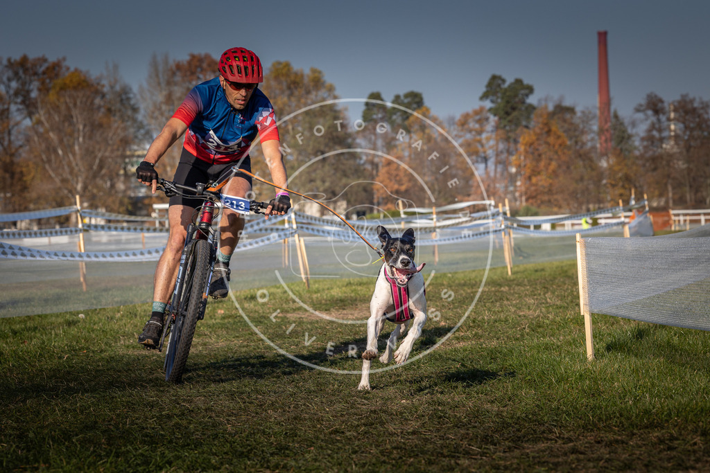 CaniXpix_0L8A6539 | Hundefotografie, Tierfotograf, Pfotenfotografie, Fotoshooting Hund, Hunde Portrait, Hundesport, Hundeportraits, Heideshooting, Hunde, Sportfotograf, Hundefotograf, Turnierhundsport, THS,  - Realisiert mit Pictrs.com