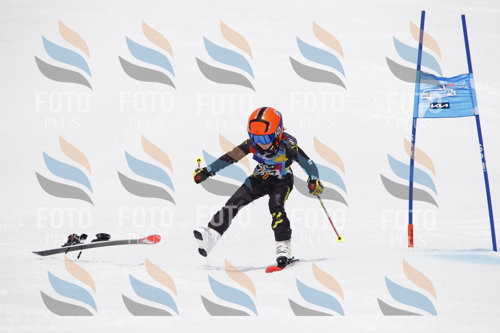 _U3G7641 | holidayphoto