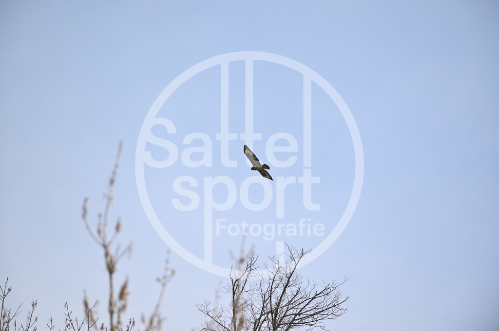 DSC_4570 | sattelsport - Realisiert mit Pictrs.com