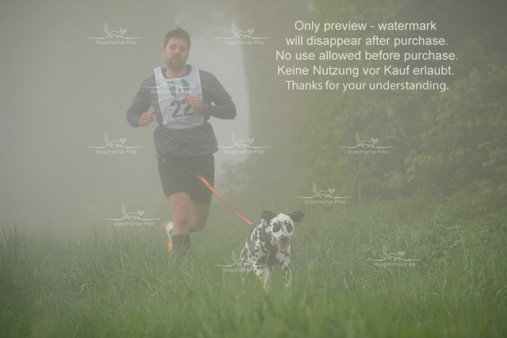 SA_GL2-153 | stephaniefillaphotographie - Realisiert mit Pictrs.com