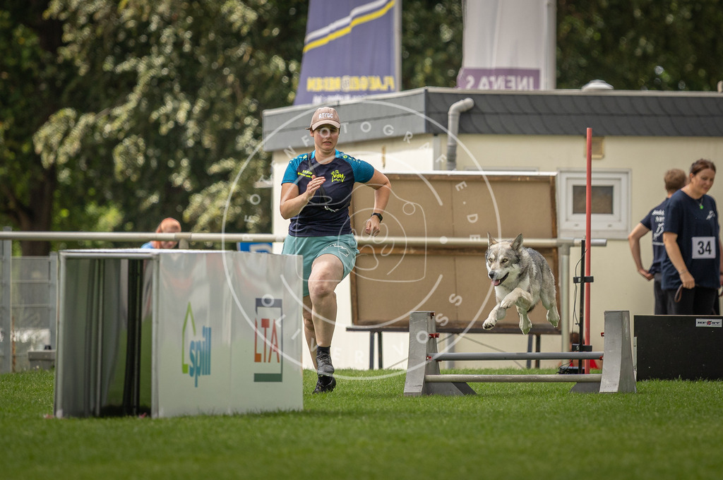 Pfotenfotografie_DV3A3252 | Hundefotografie, Tierfotograf, Pfotenfotografie, Fotoshooting Hund, Hunde Portrait, Hundesport, Hundeportraits, Heideshooting, Hunde, Sportfotograf, Hundefotograf, Turnierhundsport, THS,  - Realisiert mit Pictrs.com