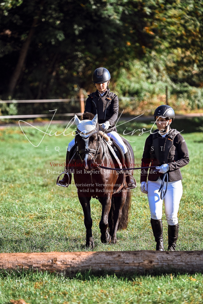 DSC_0354 | Pferde- und Turnierfotografie in Westsachsen. Pferdeportraits, Auftragszeichnungen und intuitive Kunst.