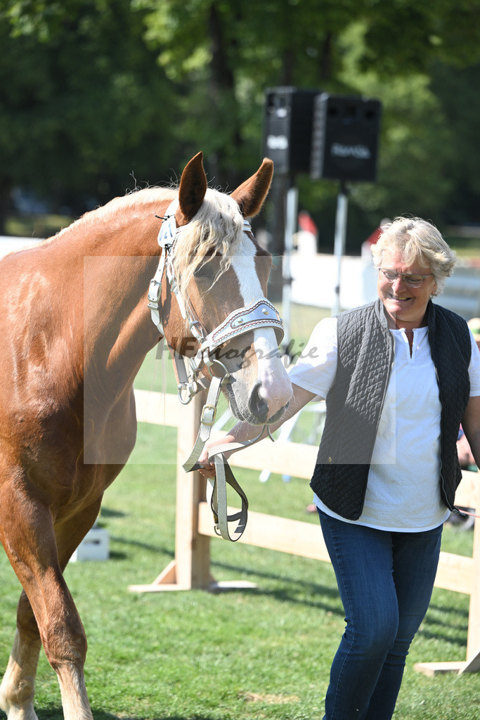 Kat-Nr. 21 Iluna_Steffl_20230313 | hf-fotografie - Realisiert mit Pictrs.com