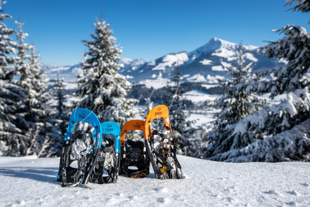 DSC05592 | Professioneller Fotograf - Bildbestellung online - Wandbilder vom Profi für ihr Zuhause, Büro, Praxis, Firma - große Auswahl an Materialien und Formaten, über 1400 regionale Motive