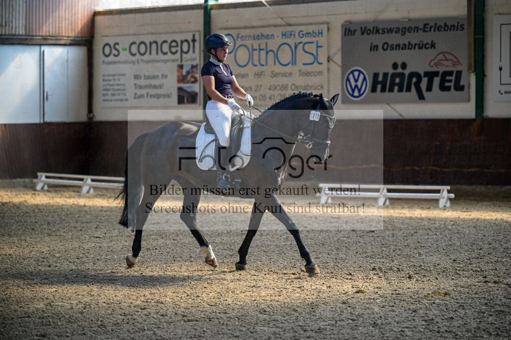 Reitturnier Voxtrup | Entdecke hochwertige Reitturnierfotos von Foto Oger. Professionell, emotional und authentisch – jetzt Lieblingsmomente im Shop bestellen.Deutschlandweite Turnierfotografie. - Realisiert mit Pictrs.com