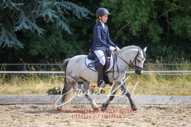 DKP46098 | Turniersportfotografie; Pferdefotografie; Dressurfotografie