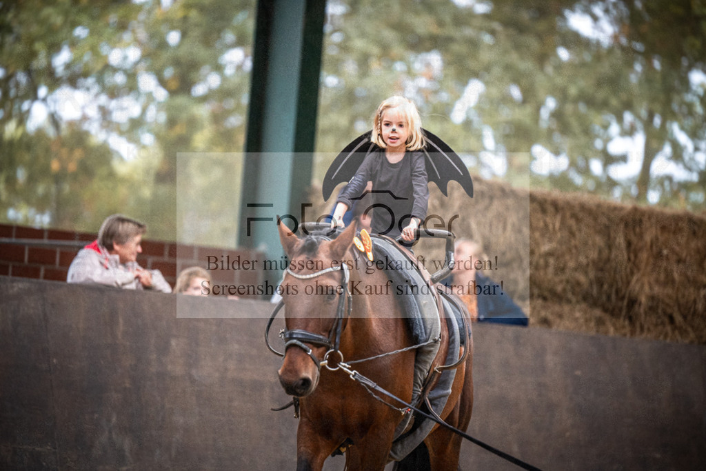 DOS_0137 | Entdecke hochwertige Reitturnierfotos von Foto Oger. Professionell, emotional und authentisch – jetzt Lieblingsmomente im Shop bestellen.Deutschlandweite Turnierfotografie. - Realisiert mit Pictrs.com
