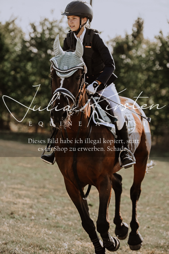 DSC_9544 | Pferde- und Turnierfotografie in Westsachsen. Pferdeportraits, Auftragszeichnungen und intuitive Kunst.