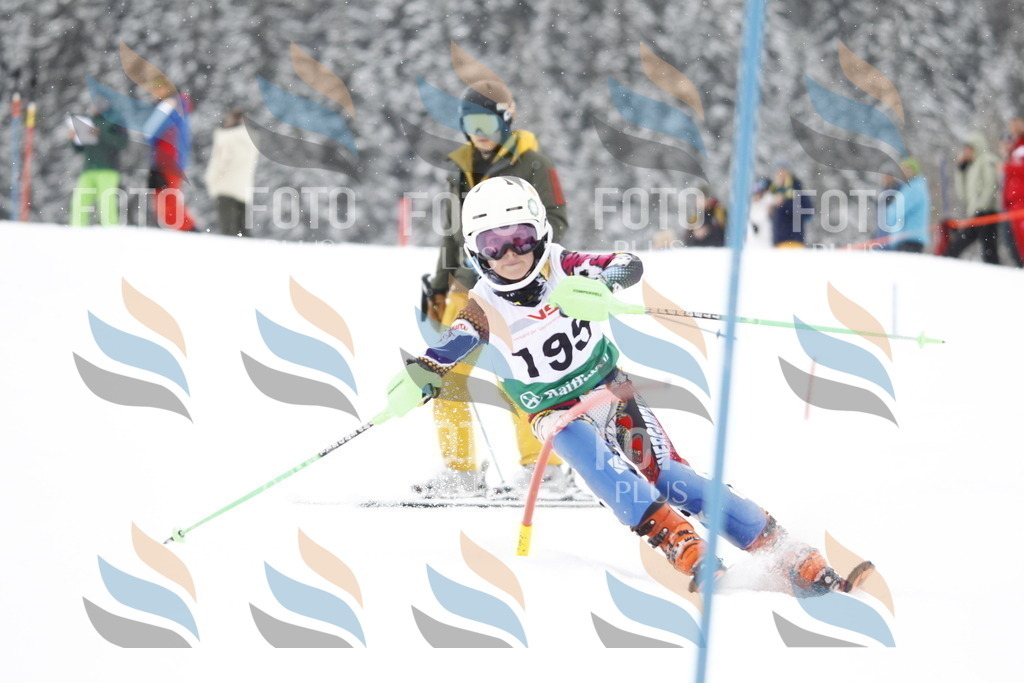 A2050 | holidayphoto