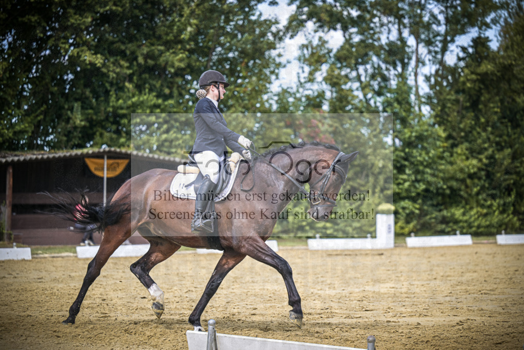 DOS_3432 | Entdecke hochwertige Reitturnierfotos von Foto Oger. Professionell, emotional und authentisch – jetzt Lieblingsmomente im Shop bestellen.Deutschlandweite Turnierfotografie. - Realisiert mit Pictrs.com