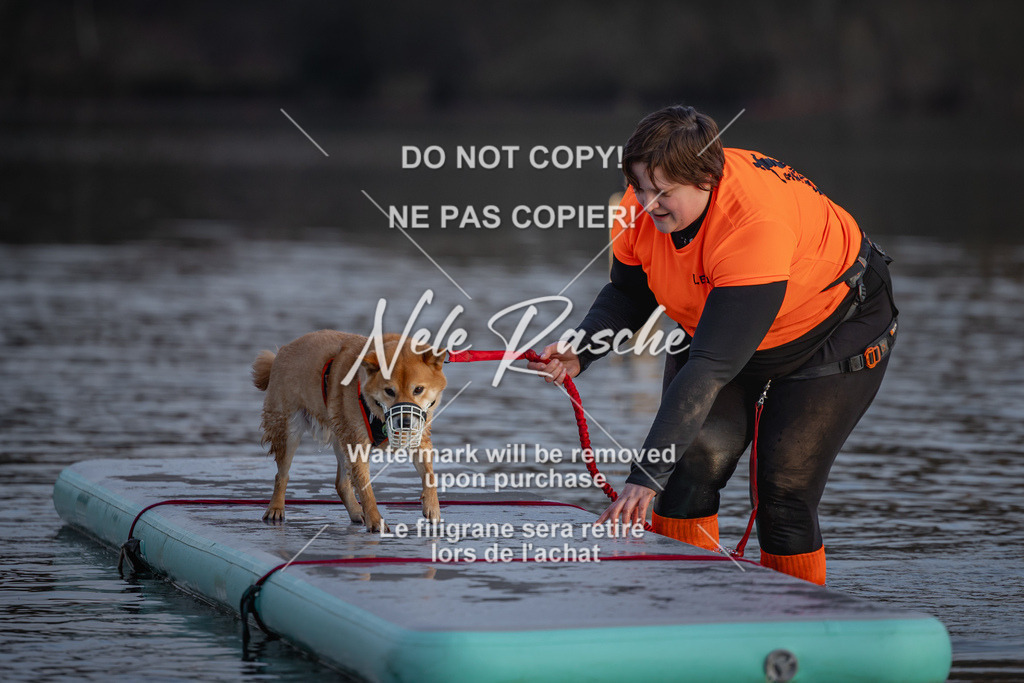 nelerasche_Hulsbeek_Sa1730-Ende_378 | nelerasche