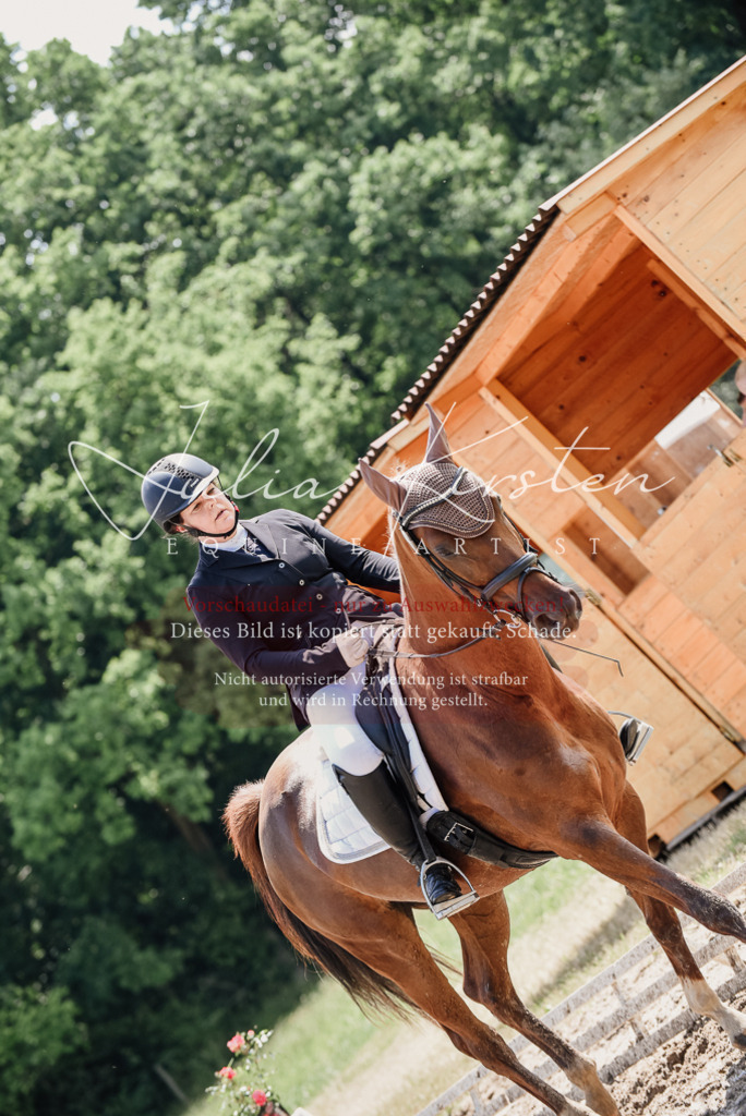 DSC_1297 | Pferde- und Turnierfotografie in Westsachsen. Pferdeportraits, Auftragszeichnungen und intuitive Kunst.