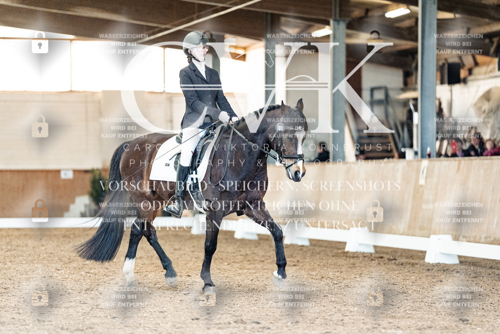 CK909772 | Turnierfotografie Pferdefotografie Trier Rheinland-Pfalz Pferdesport Reitsport Tierfotografie Sportfotografie Pferdevideo Pferdevideografie Equestrianvideography equestrianphotography  - Realisiert mit Pictrs.com