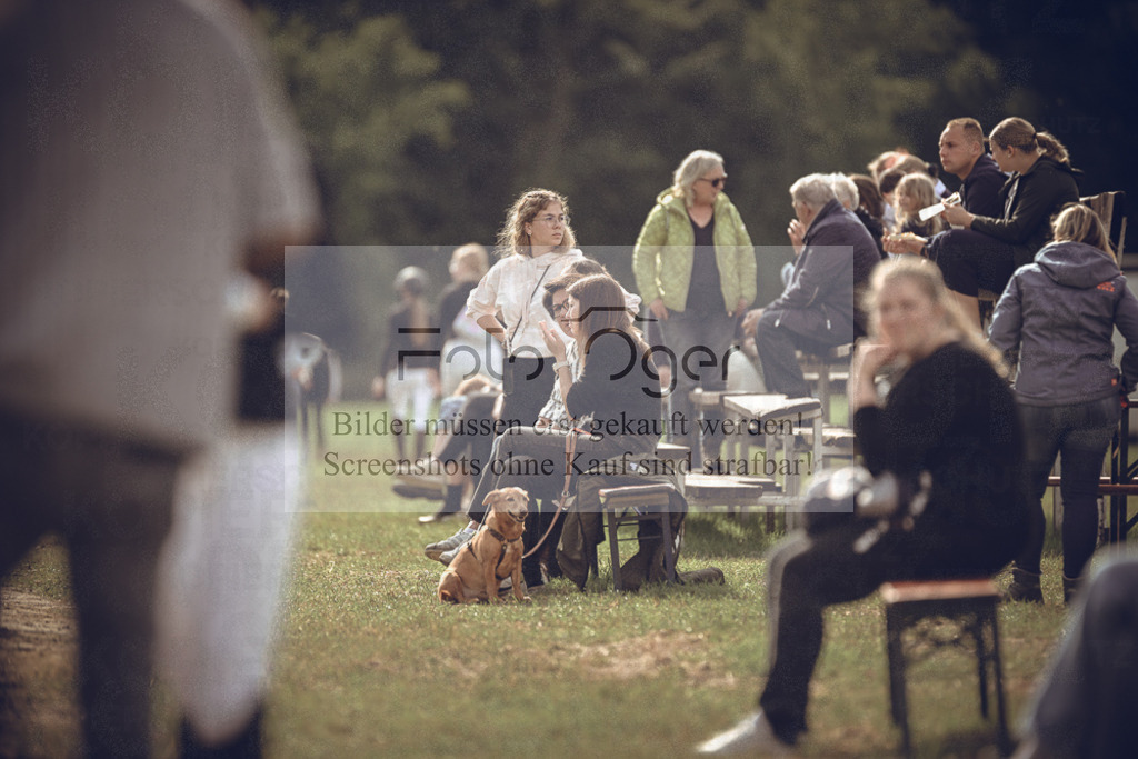 20240531-DOS_8938 | Entdecke hochwertige Reitturnierfotos von Foto Oger. Professionell, emotional und authentisch – jetzt Lieblingsmomente im Shop bestellen.Deutschlandweite Turnierfotografie. - Realisiert mit Pictrs.com