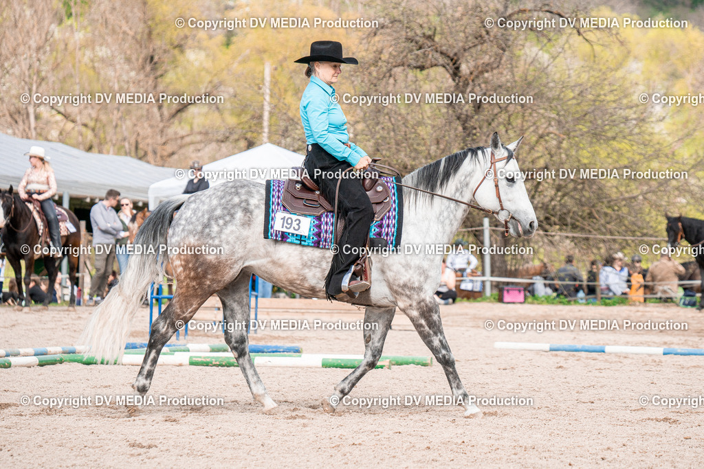 BAL02752 | dv-media-shop - Realisiert mit Pictrs.com