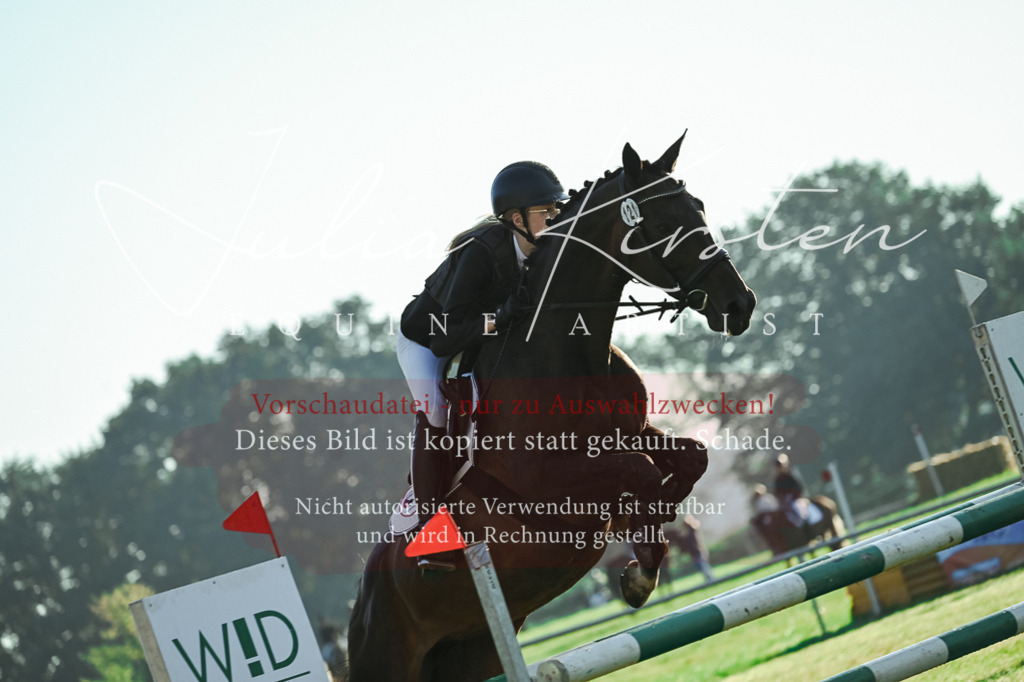 DSC_4228 | Pferde- und Turnierfotografie in Westsachsen. Pferdeportraits, Auftragszeichnungen und intuitive Kunst.