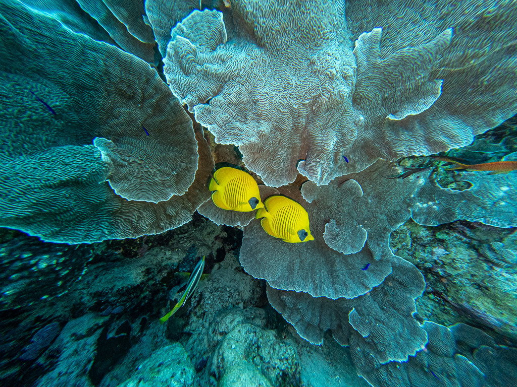 GOPR1097 | C:\DCIM\100GOPRO\GOPR1097.GPR - Realisiert mit Pictrs.com