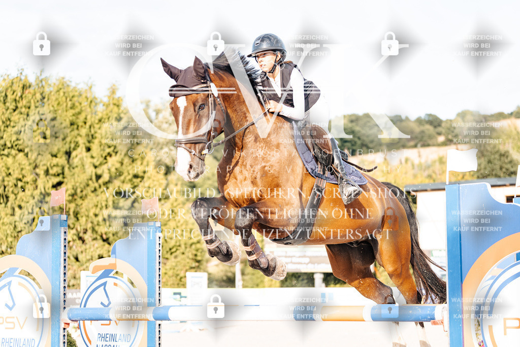 CK903346 | Turnierfotografie Pferdefotografie Trier Rheinland-Pfalz Pferdesport Reitsport Tierfotografie Sportfotografie Pferdevideo Pferdevideografie Equestrianvideography equestrianphotography  - Realisiert mit Pictrs.com