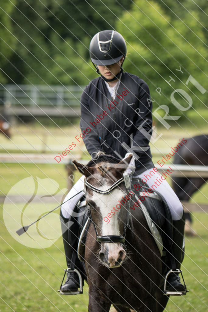 IMG_2538 | Sport-, Event- und Tierfotos in Profiqualität. Einfach auswählen, bestellen und herunterladen. Dein Moment – perfekt festgehalten.