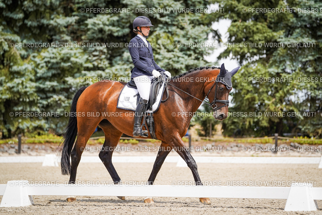 DSC01959 | Pferdegrafie