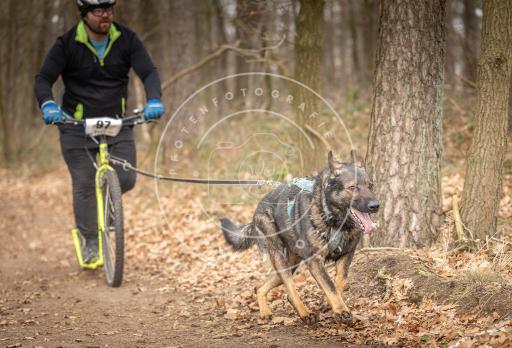 Pfotenfotografie_DV3A7424 | Hundefotografie, Tierfotograf, Pfotenfotografie, Fotoshooting Hund, Hunde Portrait, Hundesport, Hundeportraits, Heideshooting, Hunde, Sportfotograf, Hundefotograf, Turnierhundsport, THS,  - Realisiert mit Pictrs.com
