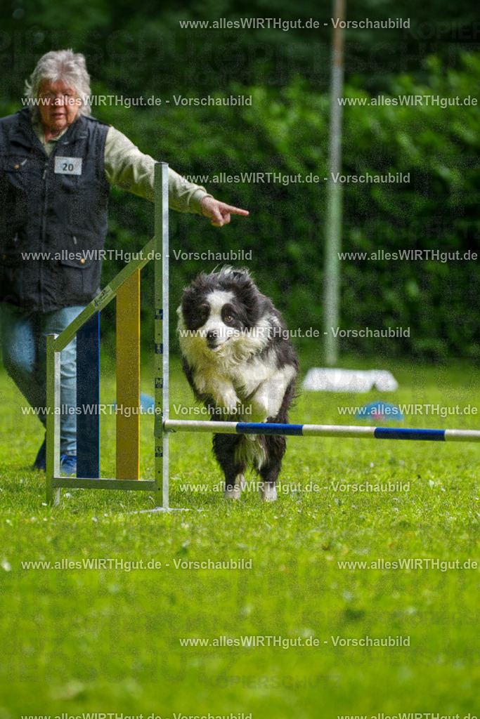 @allesWIRTHgut_Tierfotografie - www.allesWIRTHgut.de - 093644-7R507372 | Professionelle Tierfotografie in Mönchengladbach von Daniel Wirth (allesWIRTHgut). Liebevolle & natürliche Bilder von Hunden & Katzen für unvergessliche Erinnerungen.