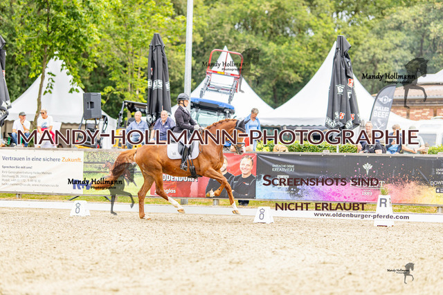 SW 4-72 | mandyhollmannphotographie